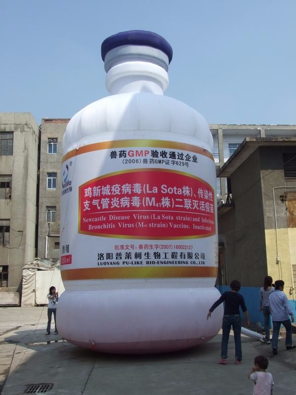 肃北工厂广告宣传气模